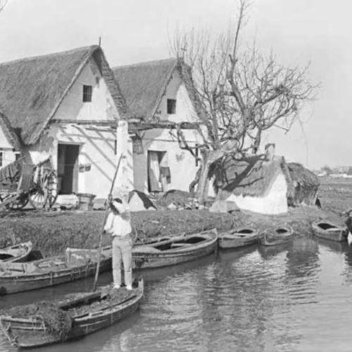 The Albufera