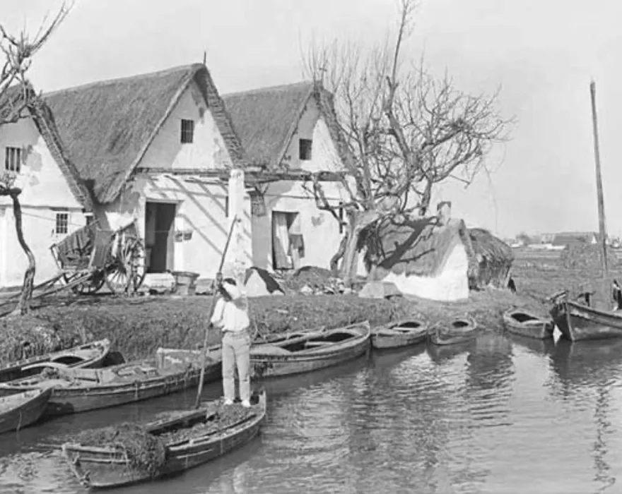 The Albufera